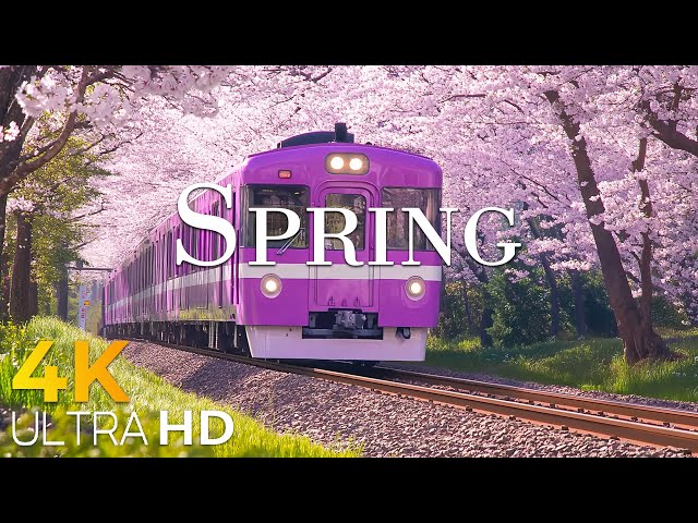 Breathtaking Spring Scenery 4K – Relaxing Piano Music & Stunning Nature Landscapes