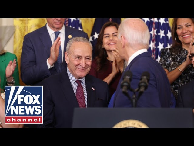 Did Schumer help push Biden out?