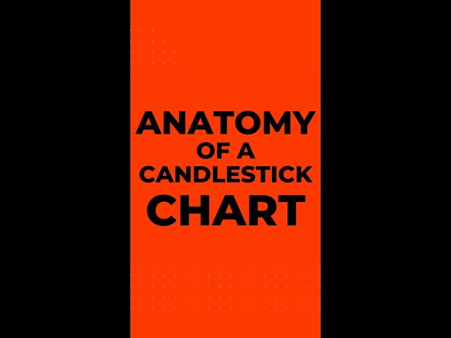 Dan Gramza gets deep with candlestick charts | NinjaTrader Live