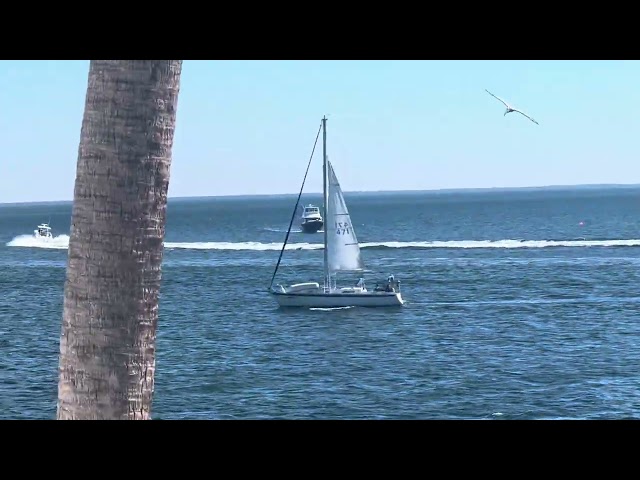 Shipspotting at St Pete Pier