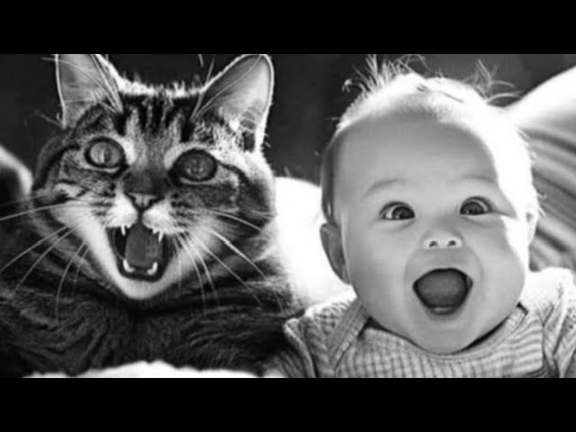 Funniest😆#cats & #baby #compilation of 2025 #amazing  #animals😺funny #catvideos #viralshorts