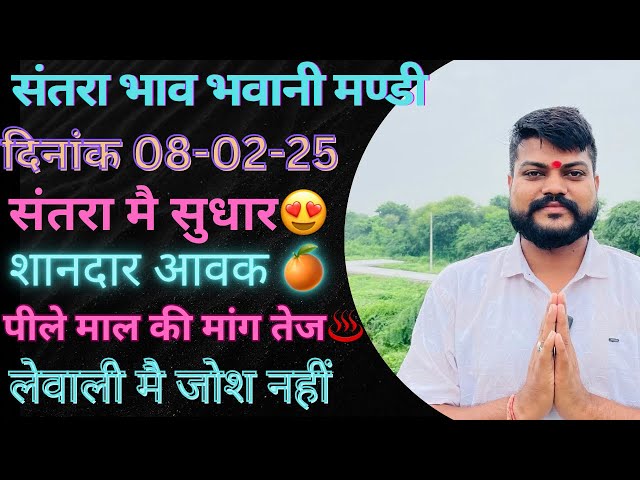 संतरा मै सुधार😍💥 लेवाली मै जोश||शानदार आवक💥 भवानी मंडी दिनांक 08-02-25 santra mandi Bhawanimandi