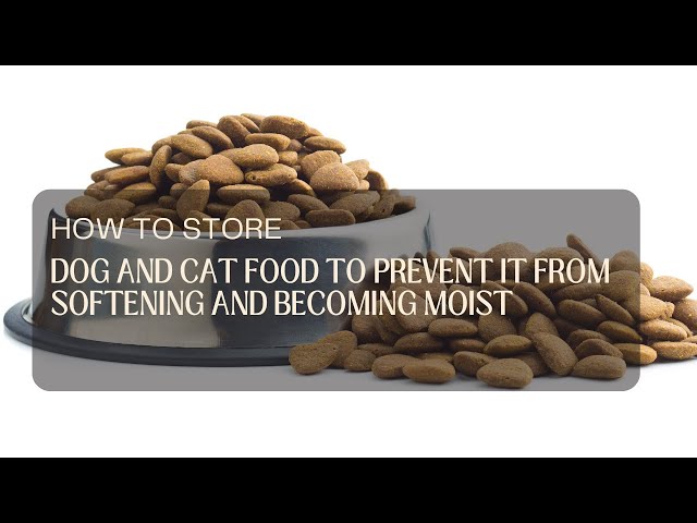 How to store dog and cat food to prevent it from softening and becoming moist?