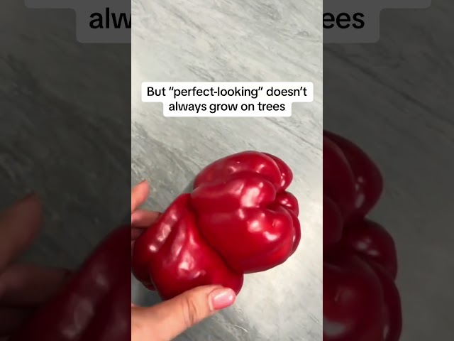 Supermarkets dump perfectly good fruit because of how it looks