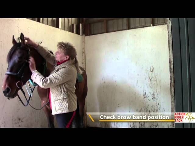 How to: Proper Bridle Fit for Your Horse