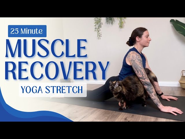 25 Minute Yoga for Muscle Recovery | All Levels Gentle Relaxing Stretch for Sore Muscles