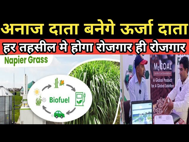 रोजगार का सुनहरा मौका सेटअप कंपनी करके दे रही है |HOW TO START BIO FUEL CNG AND COAL UNIT BUSINESS |