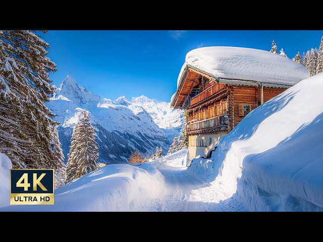 Winter Wonderland Mürren Switzerland 4K Snow Walking Tour 2025