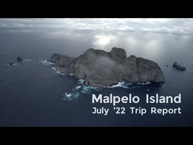 Going to Malpelo on the Ferox in 2022 (4K)