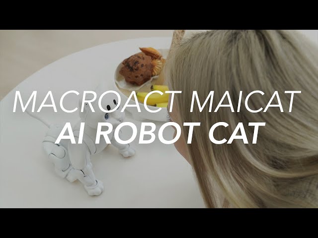 Macroact Maicat Companion AI Robot Cat