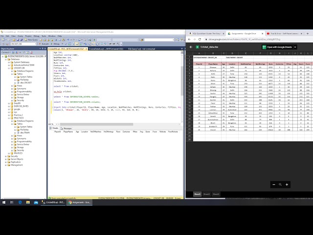 21 - SQL - Insert into Cricket Database