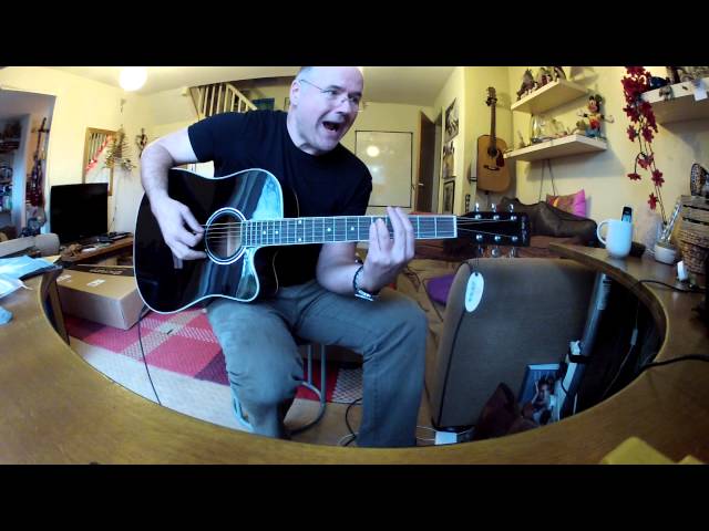 Harley Benton electro acoustic intro