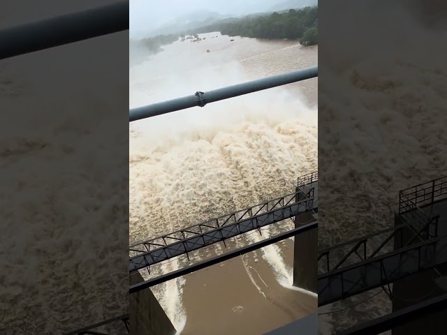 Kadra dam amazing overflowing in rain season  #dam #water #shorts #travel