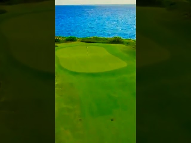 #beautiful #nature #youtubeshorts #amazing #views #shorts #short #golf #grass #sea #waves #sunlight