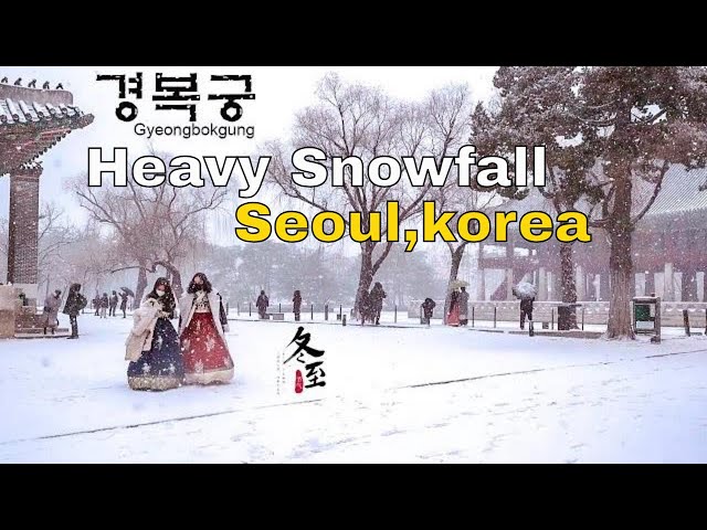 【4K HDR】 heavy snowfall in  Korea , Gyeongbokgung Palace ,  walking tour