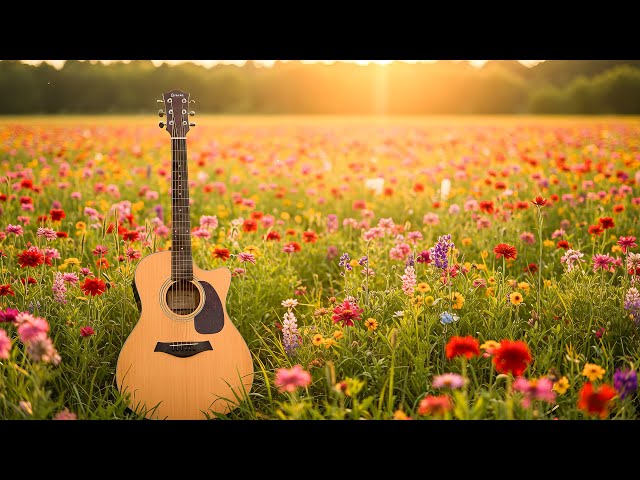 Good Guitar Instrumental Music To Rest And Enjoy Life - Coffee And Sleep Relaxing Music🎶