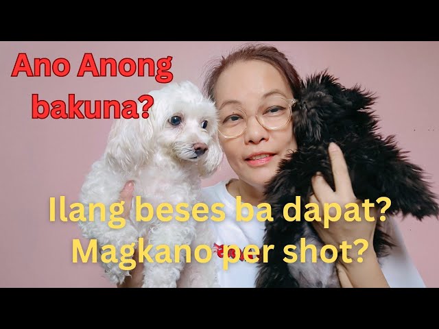 Bakuna ng aso magkano - 2024 | Ano anong bakuna? | Ilang beses?