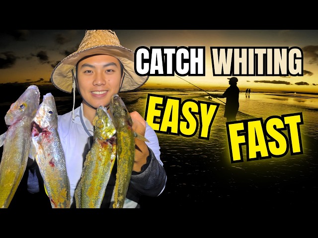 Beach Fishing for Whiting – Catch More in Just 2 Hours!