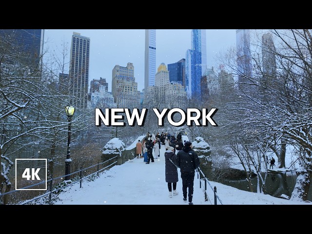 Winter Magic in Central Park, New York | Walking in Central Park in the Winter Snow