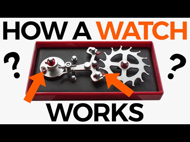 How a Watch Works 101 | Crown & Caliber