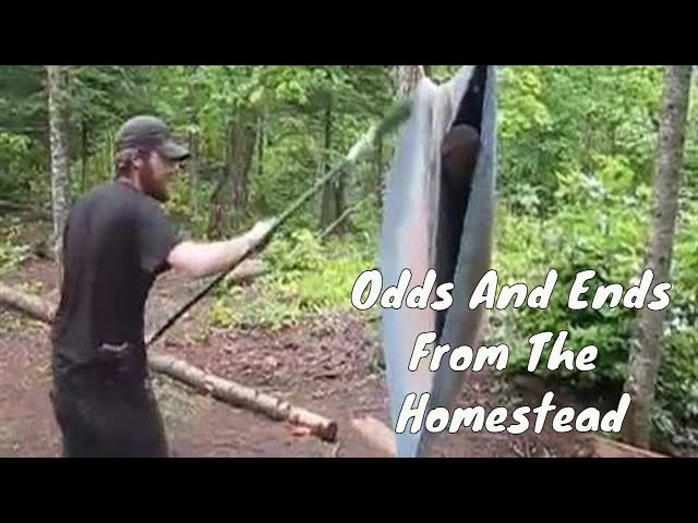 Homestead and Family Odds and Ends Video Clips