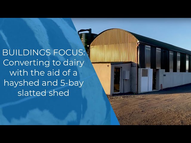 Buildings Focus: Converting to dairy with the aid of a hayshed and 5-bay slatted shed