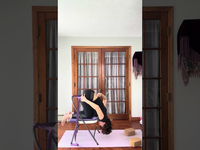 Chair & strap child’s pose - Iyengar style Yoga