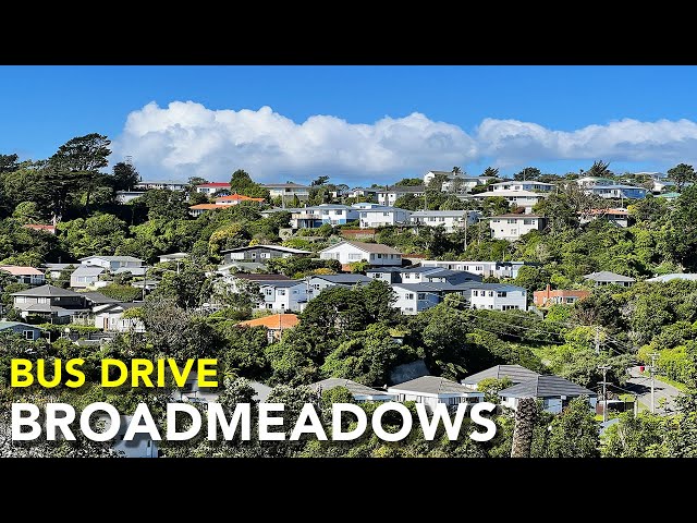 Broadmeadows - Khandallah Bus Route 24 Drive | Wellington, New Zealand