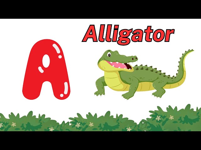 Learn Alphabet Letters & Everyday English Words with Fun Animations!