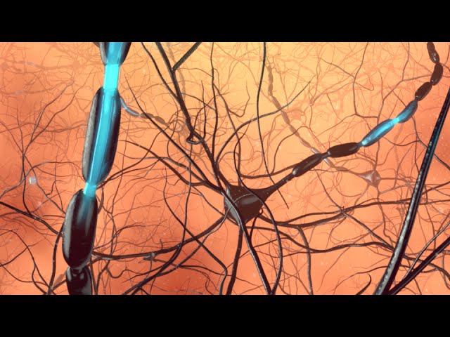 360° VR animation | 360 Neurons