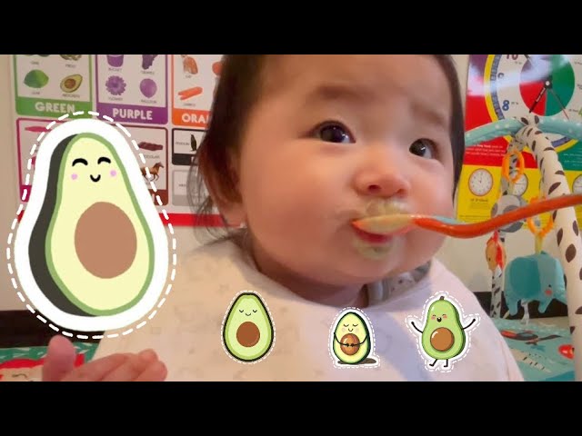 Tiny tastes: Baby tries avocado Baby eating moment eating show mukbang #babyValerie #hungrybaby