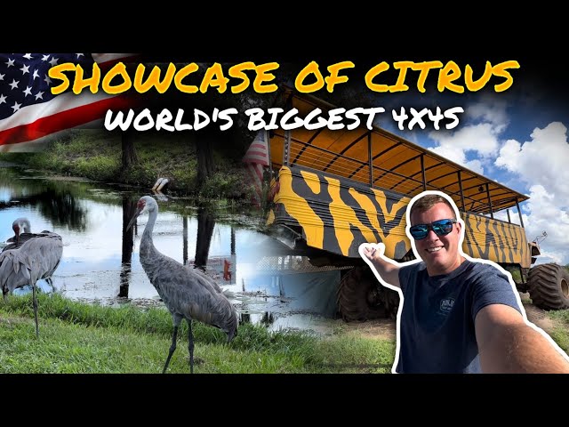 PURE Florida FUN! World’s LARGEST Monster Trucks! Showcase of Citrus Farm near Disney World 🍊 🍋