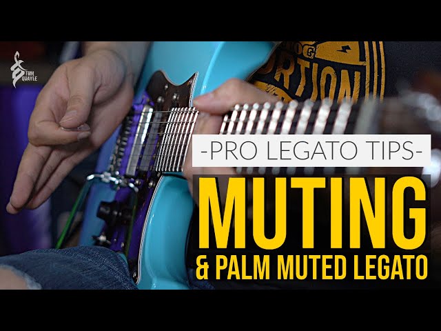 MY FAVOURITE LEGATO TECHNIQUE | Palm Muted Legato Lesson | TOM QUAYLE