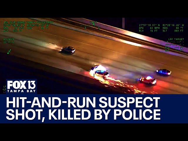 Deadly hit-and-run suspect shot & killed after police chase on I-275