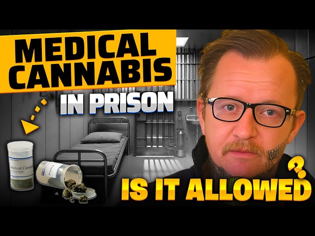 MEDICAL CANNABIS AND SCHEDULE 8 MEDICATION IN PRISON #podcast #prisonreform #prison #jail #crime