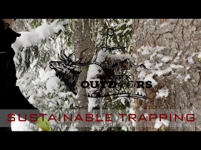 "2025 Sustainable Trapping for Marten in Deep Snow - West K Outdoors Season 1 Episode 6" #trapping