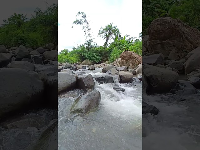 Auto Relax and Fresh With River Stream Sounds #relax #riverstream #nature #shorts