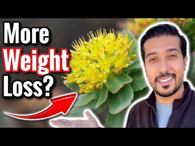 Rhodiola Rosea for Weight Loss | Does Cortisol Cause Weight Gain?