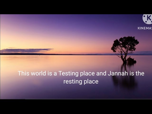 #43 Motivational Reminder This world is the Testing place, and Jannah is the Resting place. #Islam