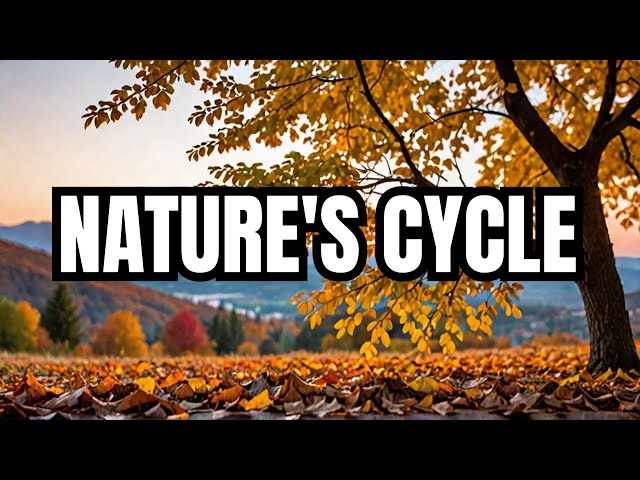 The Cycle of Life- Lessons from Nature on Impermanence #44