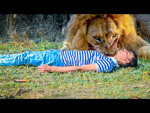 Lion Attack Man in Forest | Lion Attack Hunter | Lion Attack Stories | Fun Made Movie Part 47