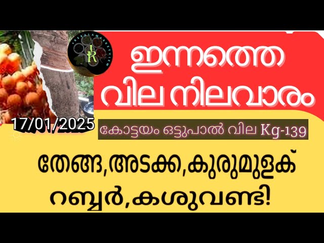 ഒട്ടുപാൽ വില കൂടി | Gold prices up by Rs 400 in Kerala today