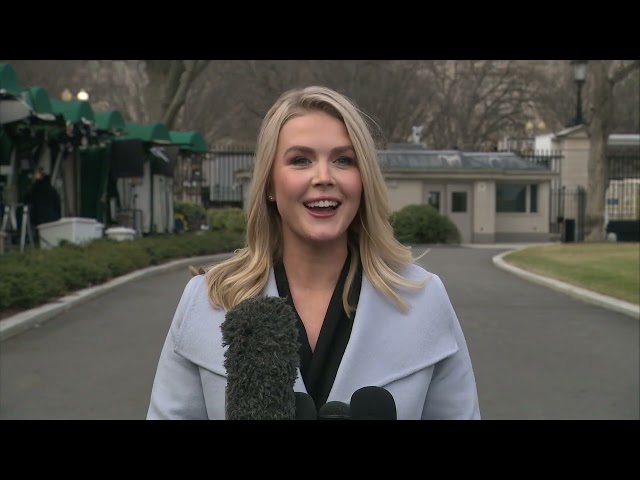 RAW: White House Press Secretary Karoline Leavitt on Elon Musk's role at White House