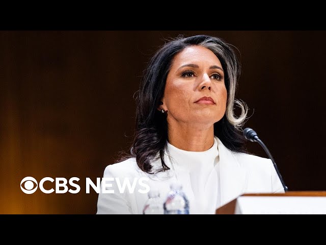 Tulsi Gabbard survives Senate committee vote