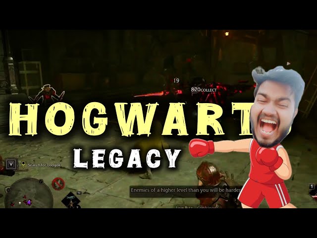 Back to Back Fight 😠 | Hogwarts Legacy | Live Bizz