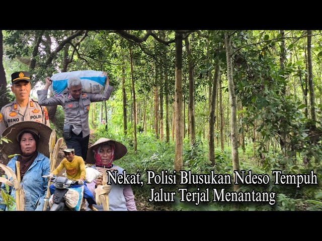 Kawasan Subur Pinggiran Hutan Perbatasan Blora Tuban Inilah Dukuh Tunggak tiyang Blora Part 01