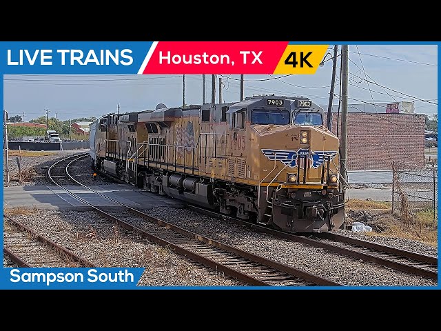 🔴 LIVE Trains Railcam | Houston, Texas (Sampson Street South)