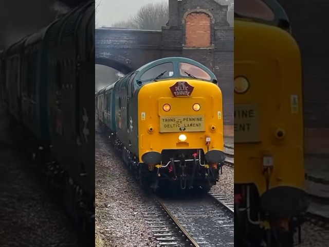 The Deltic Tribute #train #railway #railroad