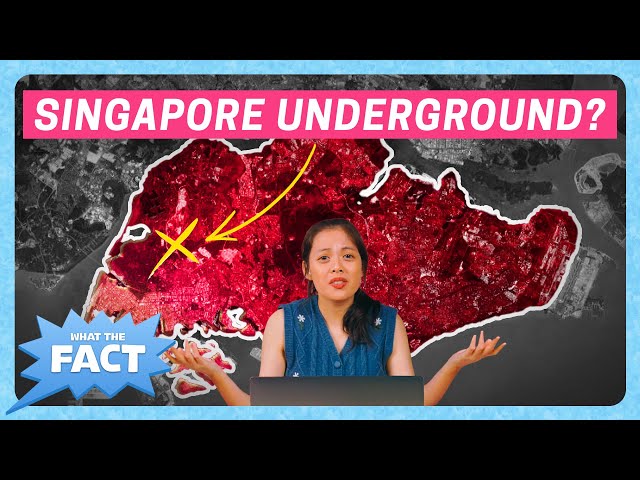 Singapore Can Double Its Space If We Do This. | What The Fact Ep 4