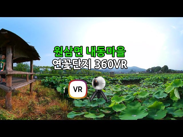 원삼면 내동마을 연꽃단지 360VR